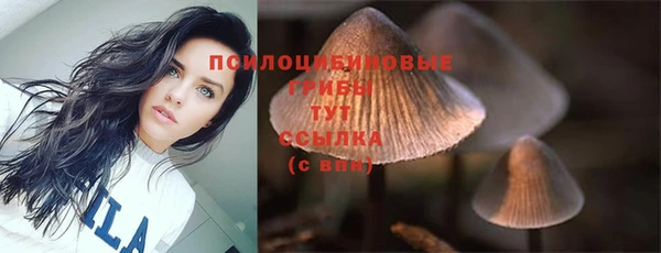 хмурый Алексин