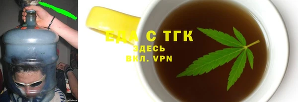 хмурый Алексин