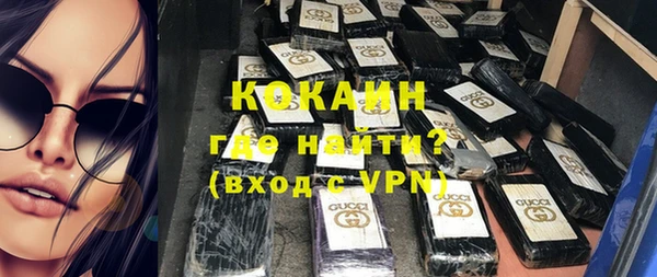 хмурый Алексин