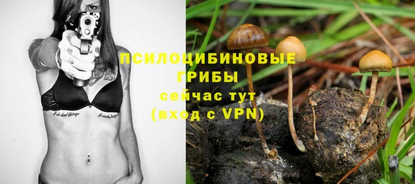 первитин Алексеевка
