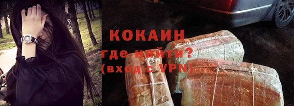 хмурый Алексин