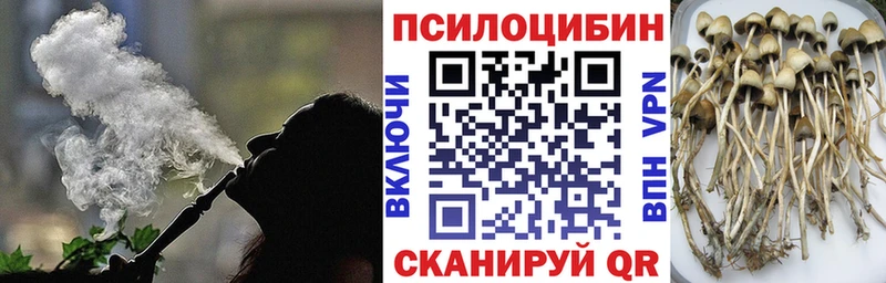Псилоцибиновые грибы MAGIC MUSHROOMS  Староминская 